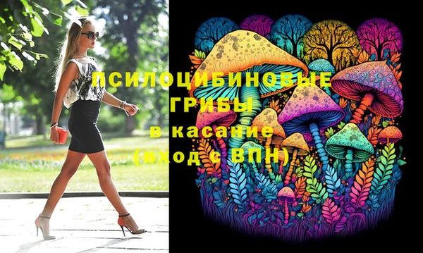 PSILOCYBIN Бородино